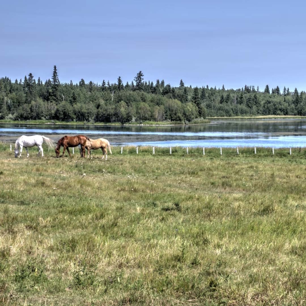strathcona county alberta real estate for sale