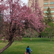 selling downtown edmonton spring market