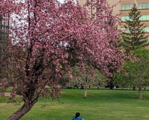 selling downtown edmonton spring market