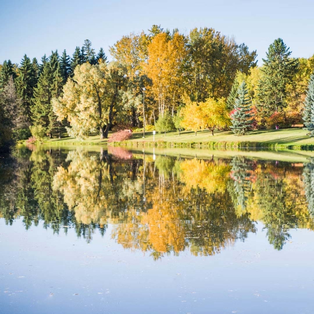 Best Edmonton Neighbourhoods for Summer